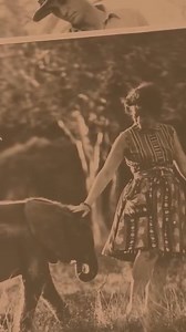 We like to say that the elephants found us… As we embark upon a new year, we reflect upon the 48 years of history that made us who we are today. Sheldrick Wildlife Trust is truly a labour of love, started a lifetime ago by people who had a shared vision for conservation and the courage to pursue it. Thanks to our incredible team and global supporters, the legacy continues. The challenges facing our natural world are many and varied, but together, we are making a real and lasting impact. Every an