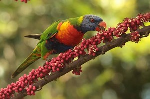 Thinking about visiting the Gold Coast? Check out the city's digital hub! Bringing together the best local news, things to do, lifestyle and business stories in one place 👇 | City of Gold Coast