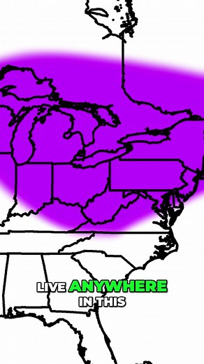 Surprise Snow Storm Approaching