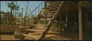 Two Brothers / Deux frères (2004) - Trailer