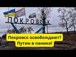 Покровск освободят? Путин в панике!