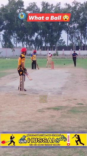 What W Ball || Fastest Bouncer Zubair VK || #fbreels #reelsviralシ #fastestbouncer #FastestBall #Bouncers #ZubairVK #CommentatorSadaGul75 #SadaGul75 #HussaiZalmi #Outstanding #ball | Hussai Zalmi