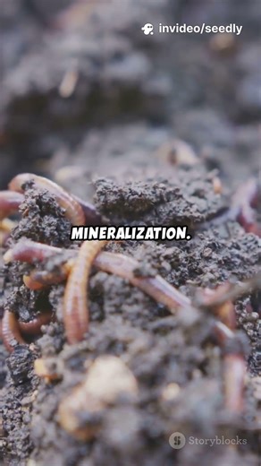 Fast Growth Without Burning Your Soil #organicfertilizer #soilbiology #nitrogenfertilizer