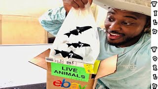 I Bought Mystery Aquarium Fish from eBay – Shocking Reveal!