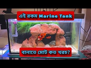 Complete Cost Breakdown of My 2 Feet Marine Aquarium Setup!