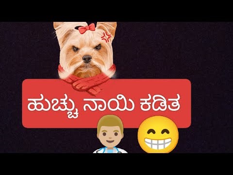 ಹೆಂಡತಿ ಮೇಲೆ ಇಷ್ಟು ದ್ವೇಷ ಒಳ್ಳೇದ ಅಲ್ಲ.. 😔😂