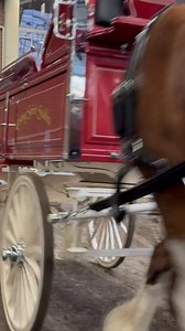 National Champion Open Team - Resting Spirit Stables | Clydesdale Breeders of the USA