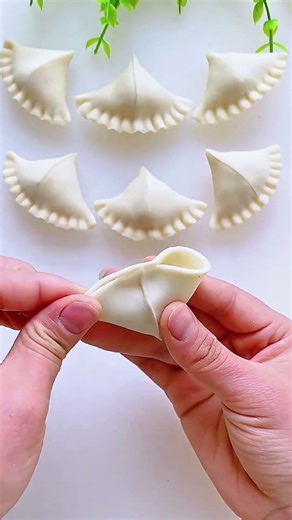 Wow Amazing, The Easiest Dumpling Wrap Ever