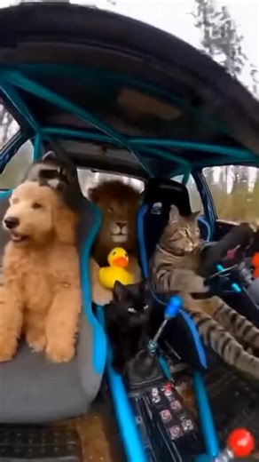 AI Unfolded | Artificial Intelligence | Memory prices are climbing, and fast. Reports suggest that certain high-capacity or specialized RAM configurations are now approaching... | Instagram