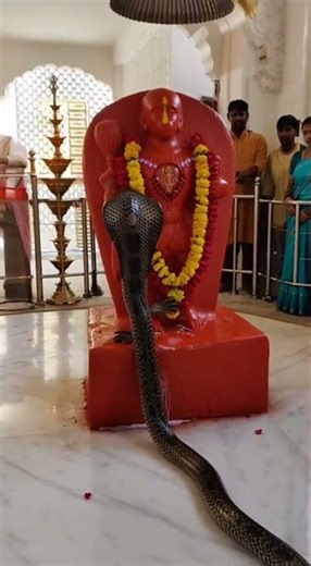 Jai Bajrangbali 🚩🐍 Saap ne Hanuman Ji ko Dudh Chadhaya aur Nachne Laga 😱🙏