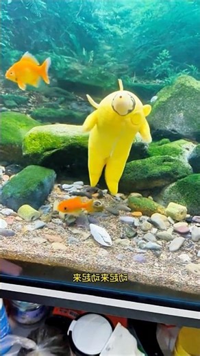 Fish Catch Mission Failed 😂🐟 ~ Building Wooden Log Cabin in Forest | Survival House Step by Step 212