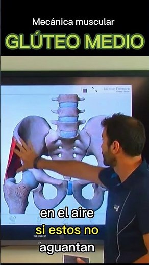 EL GLÚTEO MEDIO Y SU MECÁNICA MUSCULAR.