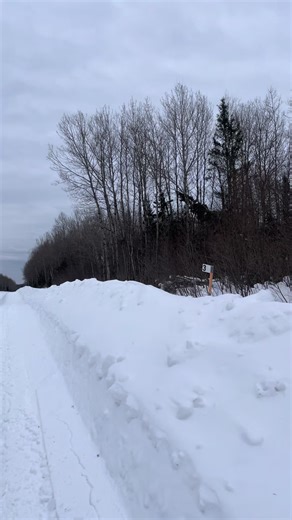 Drop your park jobs 🫣 #viral #sledtok #blowthisup #fyppppppppppppppppppppppp #summit