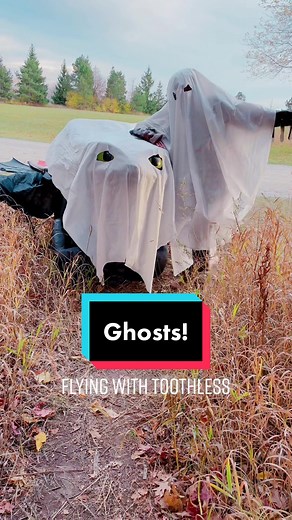 FlyingWithToothless (@flyingwithtoothless)’s videos with Oh Klahoma - Jack Stauber