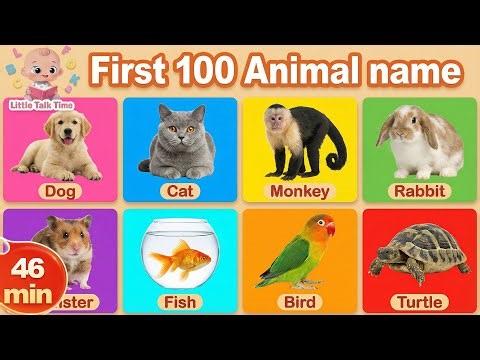 First 100 Animal Words for Toddlers 🐶🦁 | Learn Animals for Kids | Preschool Vocabulary