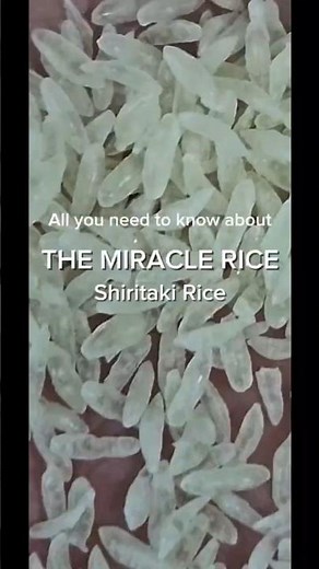 The Miracle Rice | Shiritaki Rice | Everything you need to know #youtubeshorts #food #cooking #fyp