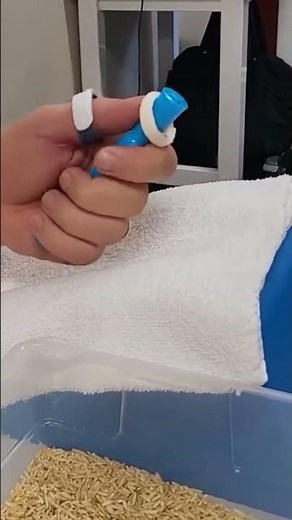 Thumb IPJ Range of Motion #exercises #handtherapy #techniquepeekseries #professionalseminars