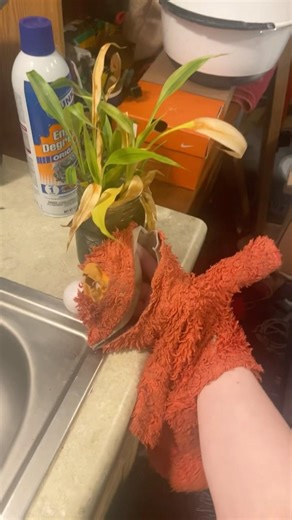 elmo world money kids