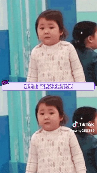 猫:再不搬家我们就要变成盆里的那个了! #搞笑 #猫咪的迷惑行为 #万万没想到 | Funny Cat