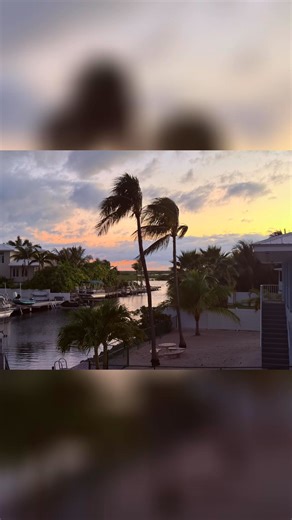 Lisa Carter on Reels