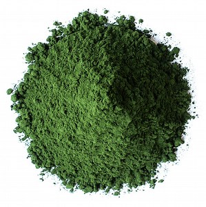 Organic Freeze-Dried Chlorella Powder Buy in Bulk from Food to Live