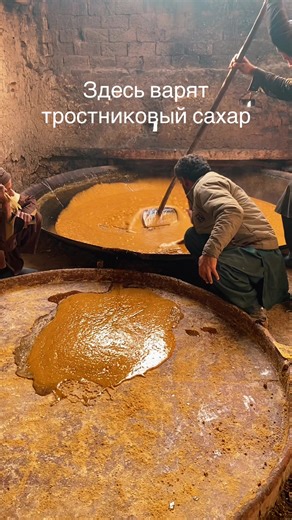 How Cane Sugar is Made: A Behind-the-Scenes Look