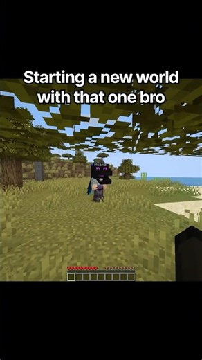 Looked away for 5 secs #minecraft #gaming