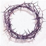 Casting Crowns Official Music Videos and Songs