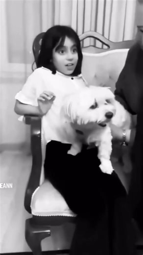 UrbanVibe on Instagram: "日本利用压电瓷砖将脚步转化为电能。这些瓷砖捕捉来自你脚步的动能。当你行走时，你的重量和动作会对瓷砖产生压力。瓷砖会轻微弯曲，从而产生机械应力。瓷砖内部的压电材料将这种应力转化为电能。每一步都会产生少量电荷，而数百万步结合在一起就能产生足够的电力来驱动 LED 灯、数字显示屏和传感器。在像涩谷车站这样繁忙的地方，每天大约有 240 万个脚步为这一系统作出贡献。这些电能可以被储存或立即使用，从而减少对传统电力来源的依赖，并支持可持续的城市基础设施。这种方法将日常运动转化为实用的可再生能源 #日本 #知识 #事实 #你知道吗 #推荐 #科技 #创新 #历史 #技术 #实验 #热门 日本利用压电瓷砖将脚步转化为电能。这些瓷砖捕捉来自你脚步的动能。当你行走时，你的重量和动作会对瓷砖产生压力。瓷砖会轻微弯曲，从而产生机械应力。瓷砖内部的压电材料将这种应力转化为电能。每一步都会产生少量电荷，而数百万步结合在一起就能产生足够的电力来驱动 LED 灯、数字显示屏和传感器。在像涩谷车站这样繁忙的地方，每天大约有 240 万个脚步为这一系统作出贡献。这些电能