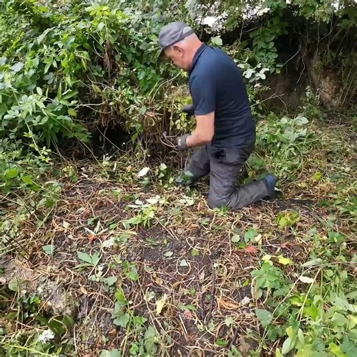 9.6K views · 182 reactions | Rescuing Peggy_s Garden.. After A NINE Year Bramble Invasion_ | Lawn Rapair | Facebook