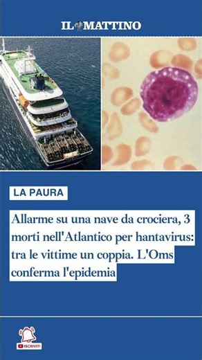 Allarme su una nave da crociera, 3 morti per hantavirus: L'Oms conferma l'epidemia