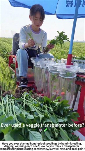 Planting Vegetables with a Transplanter – Faster Than a Trowel