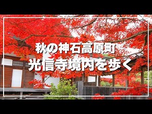 【光信寺・境内編】秋の神石高原の紅葉スポットを歩いてみた！-KOSHINJI WALK-(広島県神石高原町)／備後カメラ部