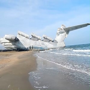 318K views · 1.5K reactions | The oldest plane | Discover TV | Facebook