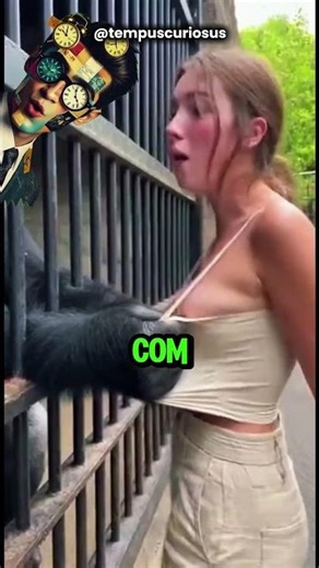Gorilla vs. Human: Which is stronger?