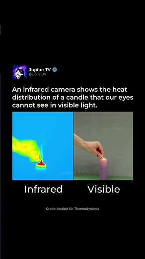 Visible vs Infrared Light 🔦