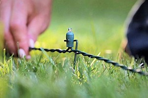 Watch Amazing - extraordinary, unique, and easy on Amazon Live