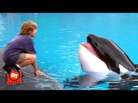 Free Willy - New Best Friends!