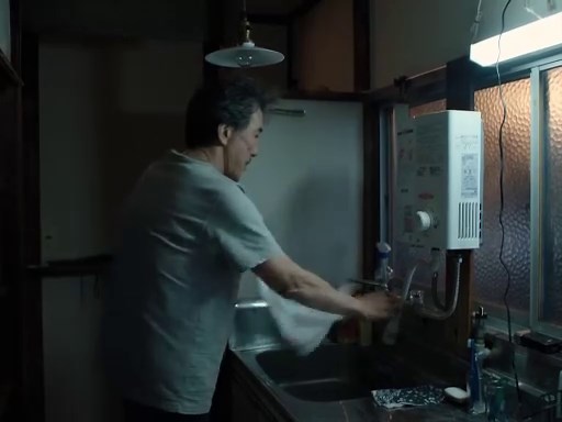 Perfect Days (2023) ENG SUB Watch HD