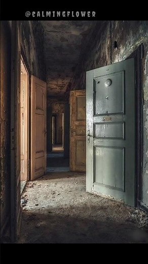 Momo's ghost in the abandoned house #momos #ghost #abandonedhouses