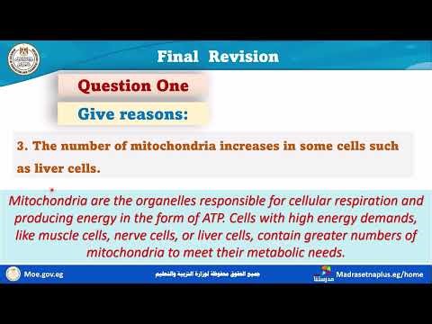Science prep 2 Final Revision Part 2_first term 2025_2026