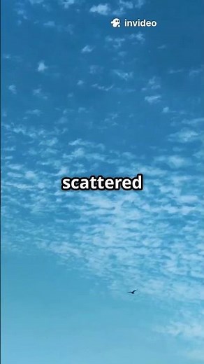 Why Is the Sky Blue? The Science of Rayleigh Scattering