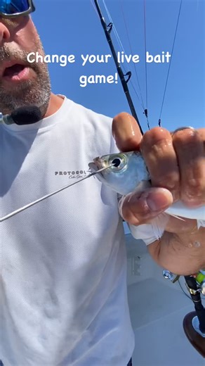 David Alex Rogers on Instagram: "Start using Floss for your live bait and watch how your bait will@live longer and be more frisky. Just do not pierce his little brain! #cabo #bait #rightrigger"