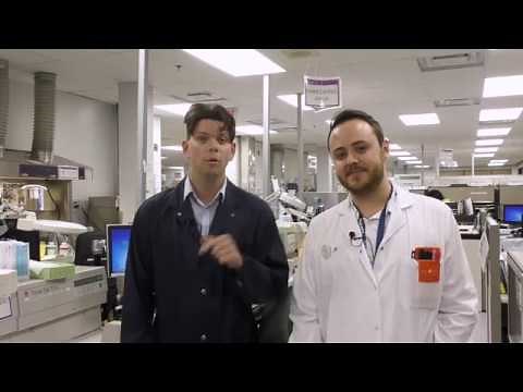 In the Lab - Histology