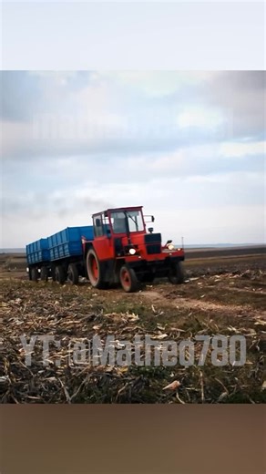 UTB Universal czyli taki rumuński Ursus #matheo780 #rolnictwo #utb #traktor #kukurydza | Matheo780