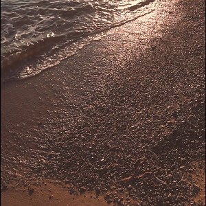 6.2K views · 389 reactions | Our doors might be closed now but our digital space will continue to inspire you over the next months... Thank you again for this season and see you in 2021! | Scorpios | Facebook