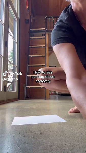 Measure your dog’s paws! The best way to find a perfect fit is by tracing the paws on a sheet of paper and measuring the height and width. If you still have sizing questions ask them here or DM us on Ig! #wagwear #wagwellies #dogshoes #dogboots #howto