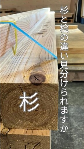 杉と桧の違いを30秒で解説 #shorts