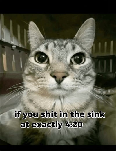 Meme: Sink Shitting and Amogus Nightmare