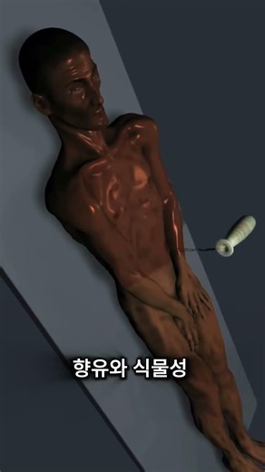 고대 이집트에서는 어떻게 시신을 미라로 만들었을까?
